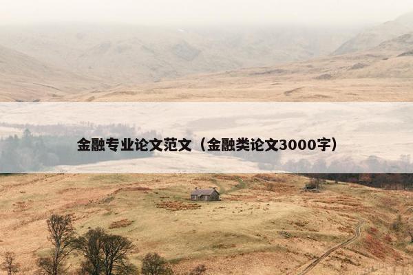 金融专业论文范文（金融类论文3000字）