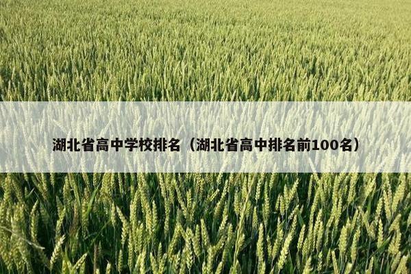 湖北省高中学校排名（湖北省高中排名前100名）