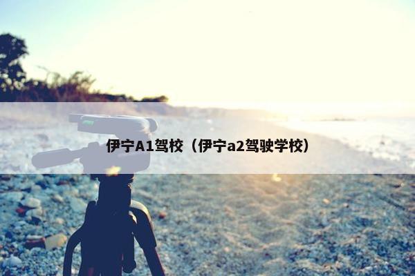 伊宁A1驾校（伊宁a2驾驶学校）