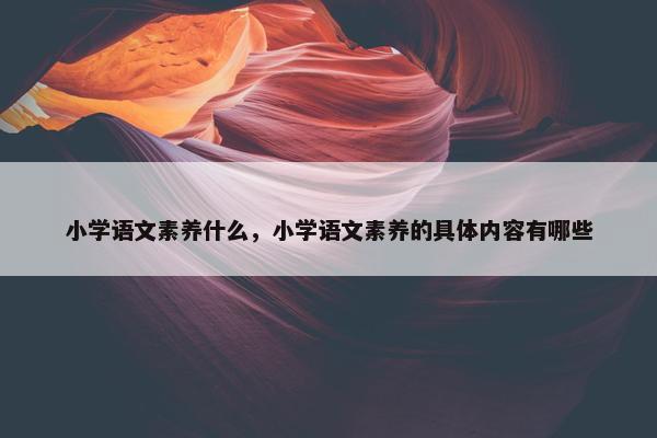小学语文素养什么，小学语文素养的具体内容有哪些