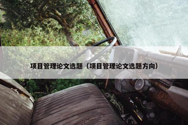 项目管理论文选题（项目管理论文选题方向）