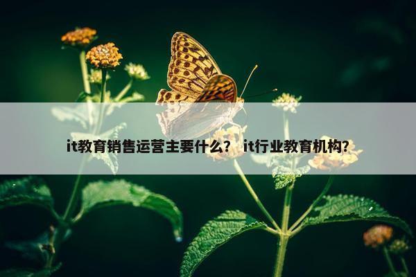 it教育销售运营主要什么？ it行业教育机构？