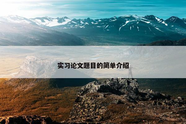 实习论文题目的简单介绍