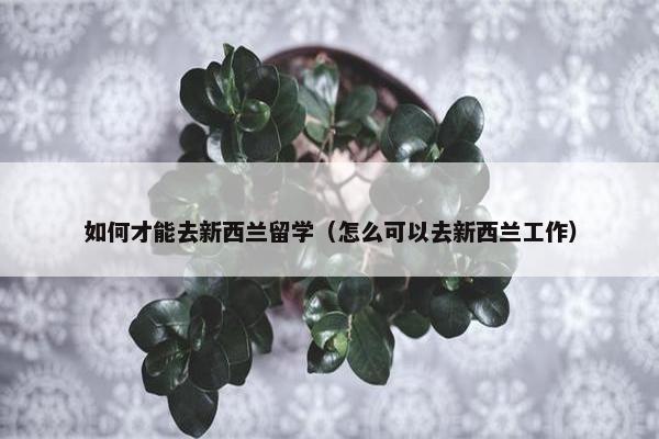 如何才能去新西兰留学（怎么可以去新西兰工作）