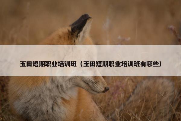 玉田短期职业培训班（玉田短期职业培训班有哪些）