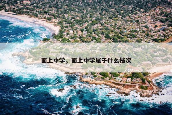 面上中学，面上中学属于什么档次