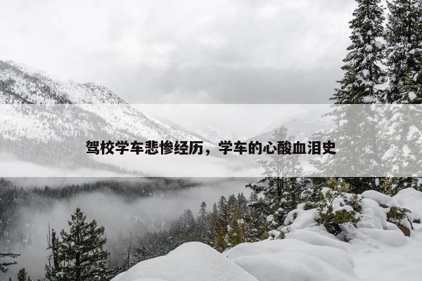 驾校学车悲惨经历，学车的心酸血泪史