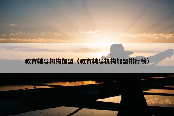 教育辅导机构加盟（教育辅导机构加盟排行榜）