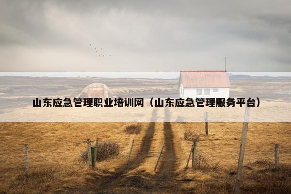 山东应急管理职业培训网（山东应急管理服务平台）