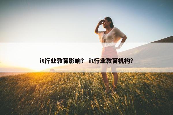 it行业教育影响？ it行业教育机构？