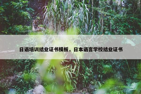 日语培训结业证书模板，日本语言学校结业证书