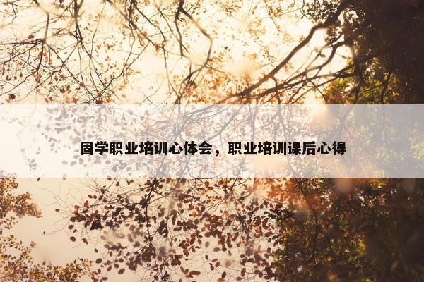 固学职业培训心体会，职业培训课后心得