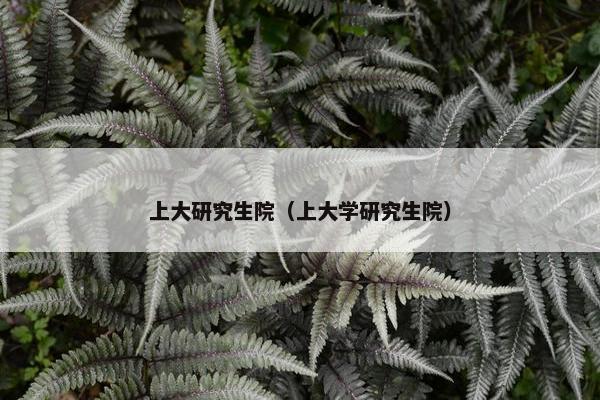 上大研究生院（上大学研究生院）