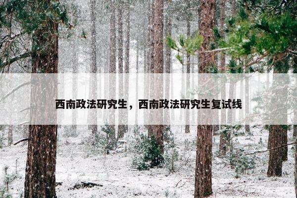 西南政法研究生，西南政法研究生复试线