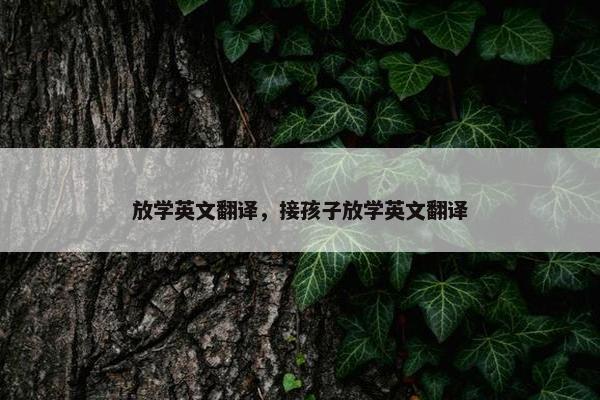 放学英文翻译，接孩子放学英文翻译