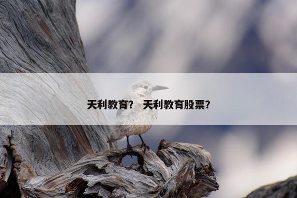 天利教育？ 天利教育股票？