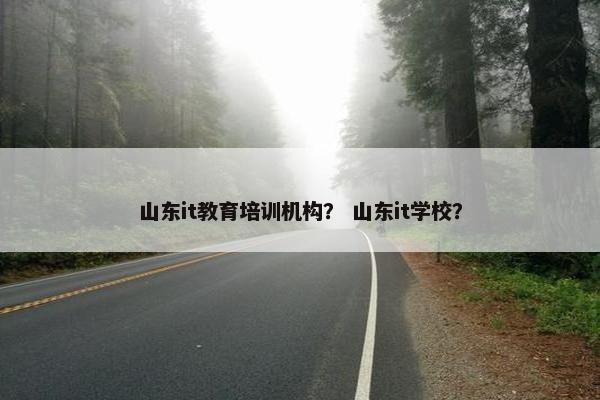 山东it教育培训机构？ 山东it学校？