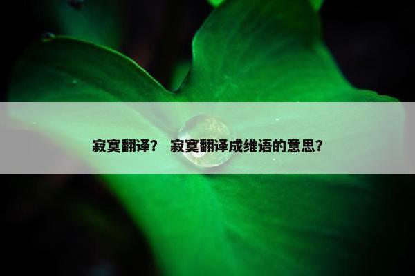 寂寞翻译？ 寂寞翻译成维语的意思？