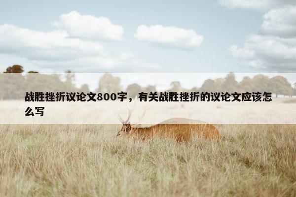 战胜挫折议论文800字，有关战胜挫折的议论文应该怎么写