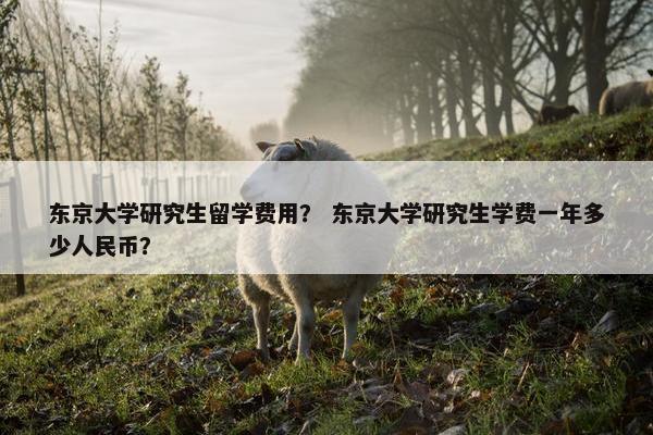 东京大学研究生留学费用？ 东京大学研究生学费一年多少人民币？