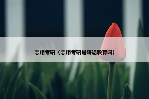 志翔考研（志翔考研是研途教育吗）