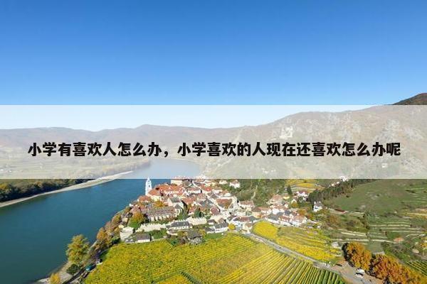 小学有喜欢人怎么办，小学喜欢的人现在还喜欢怎么办呢