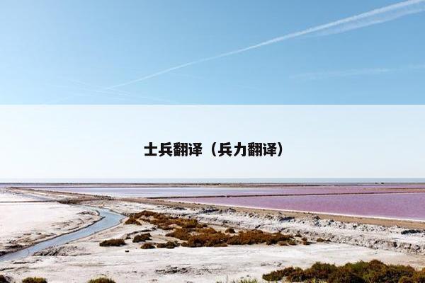 士兵翻译（兵力翻译）
