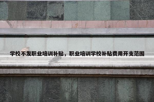 学校不发职业培训补贴，职业培训学校补贴费用开支范围