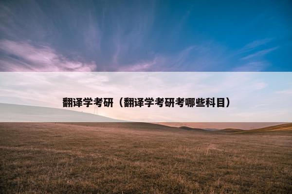 翻译学考研（翻译学考研考哪些科目）