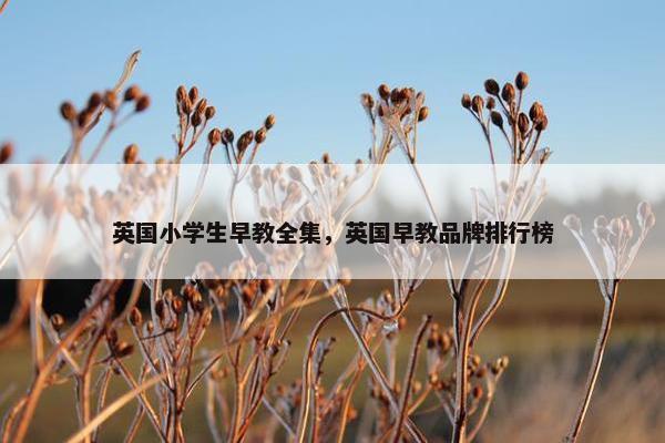 英国小学生早教全集，英国早教品牌排行榜