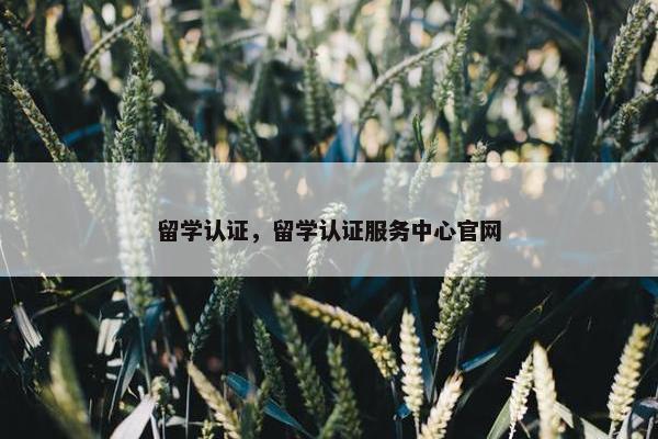 留学认证，留学认证服务中心官网