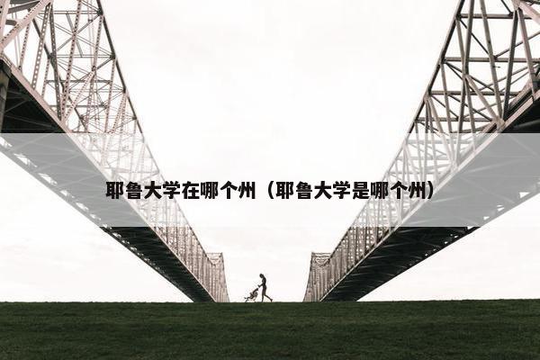 耶鲁大学在哪个州（耶鲁大学是哪个州）