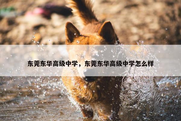 东莞东华高级中学，东莞东华高级中学怎么样
