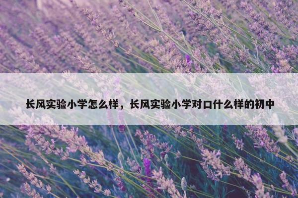 长风实验小学怎么样，长风实验小学对口什么样的初中