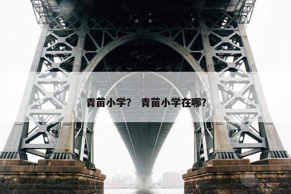 青苗小学？ 青苗小学在哪？