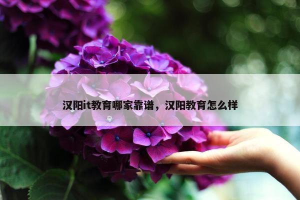 汉阳it教育哪家靠谱，汉阳教育怎么样
