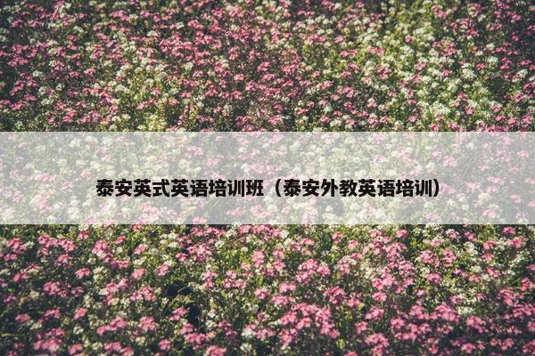 泰安英式英语培训班（泰安外教英语培训）