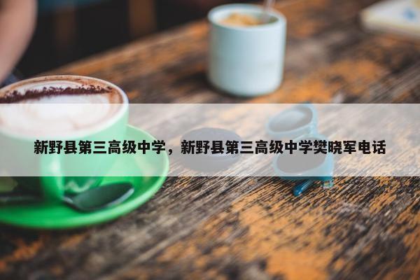 新野县第三高级中学，新野县第三高级中学樊晓军电话