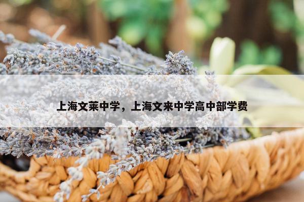 上海文莱中学，上海文来中学高中部学费