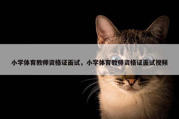 小学体育教师资格证面试，小学体育教师资格证面试视频