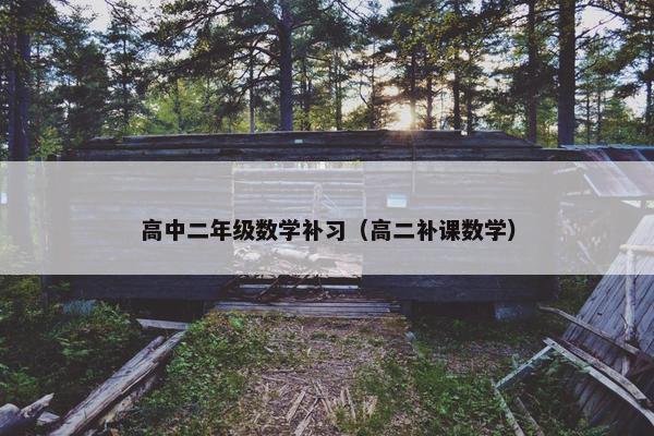 高中二年级数学补习（高二补课数学）