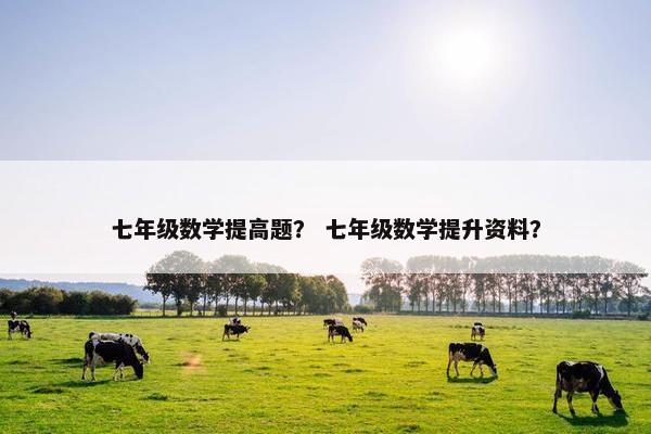 七年级数学提高题？ 七年级数学提升资料？