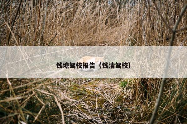 钱塘驾校报告（钱清驾校）