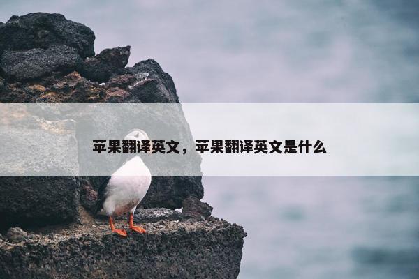 苹果翻译英文，苹果翻译英文是什么