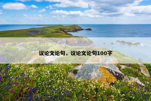 议论文论句，议论文论句100字