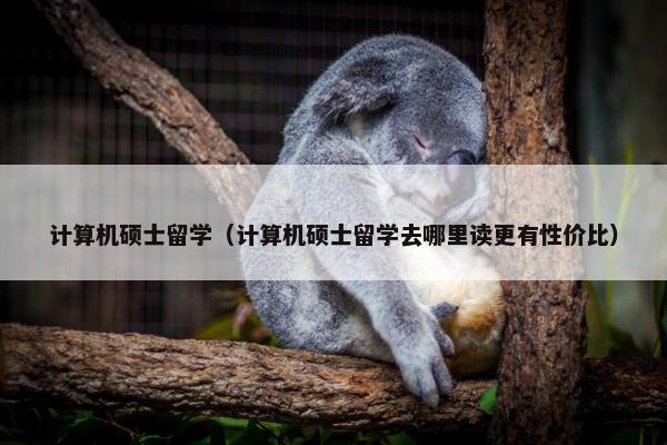 计算机硕士留学（计算机硕士留学去哪里读更有性价比）