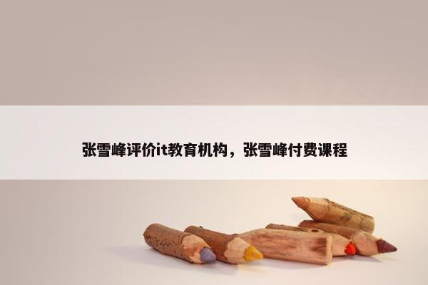 张雪峰评价it教育机构，张雪峰付费课程