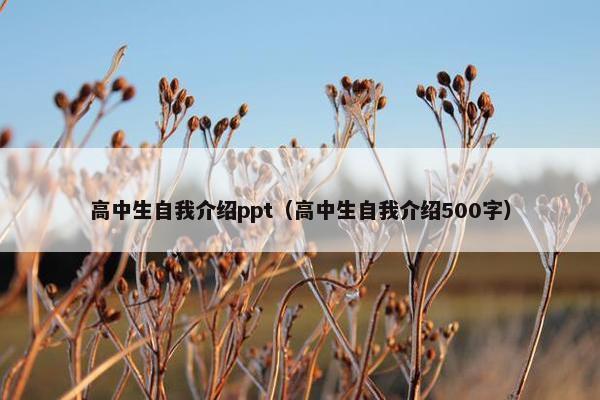 高中生自我介绍ppt（高中生自我介绍500字）
