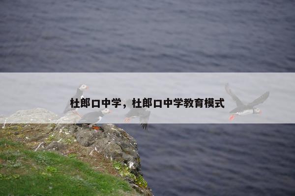 杜郎口中学，杜郎口中学教育模式