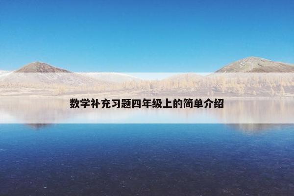 数学补充习题四年级上的简单介绍